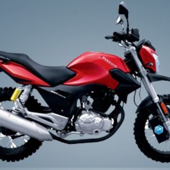 ��������� �ޱ�ѷRobinson BYQ150-8 ԽҰ�桭
