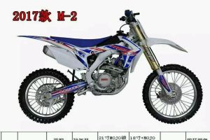  ���ٶ� mojo M2