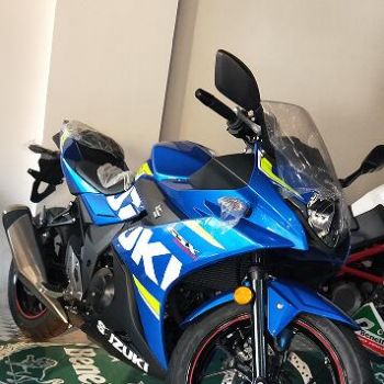  ������ľGSX250R