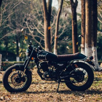 ���� ����NINETY YG200-8
