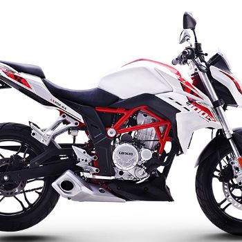 ¡�� 300R LX300-6A