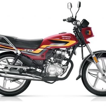�´��ޱ���������SDH125-V