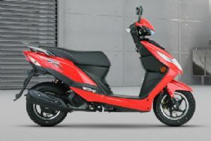 ������ľ VN100 HJ100T-6A