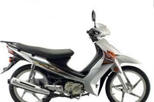 ������ľ ����ʤ QS110-2