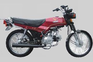 ¡�� ӥ�� LX100-33