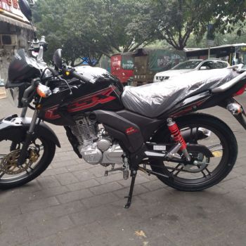 ������ľ  GSX150-2������