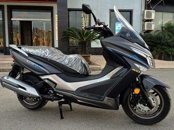  ������ͧ300 ABS