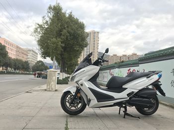  ������ͧ250 CBS��