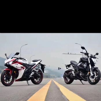 �¸о�ս��250-3