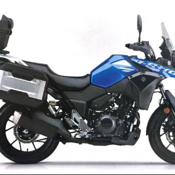 ������ľ DL250