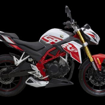 ������ RZ3 ZS250GS-2A