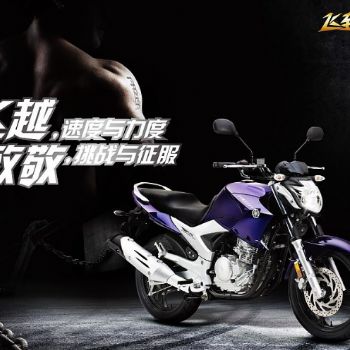  ���������� YS250
