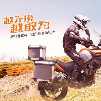  ������RX4ZS500GY