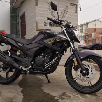�����º��� ������ ����250