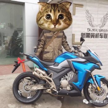 �����º��� ����310��XABS��