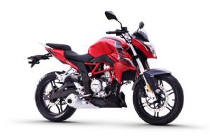 ¡�� 300R LX300-6A