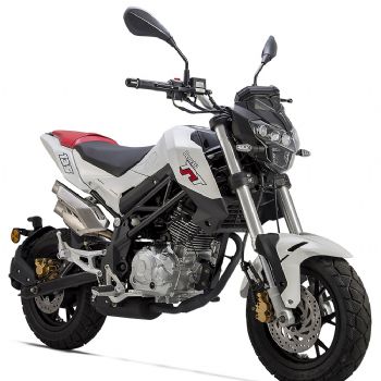  ������BenelliС����