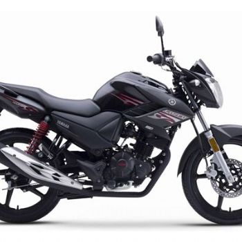 ����-������ ���� YS150