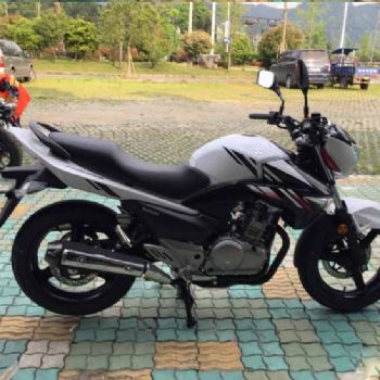  GW-250F ˫ɫ����ľ����˫��ˮ����� Ħ�г���