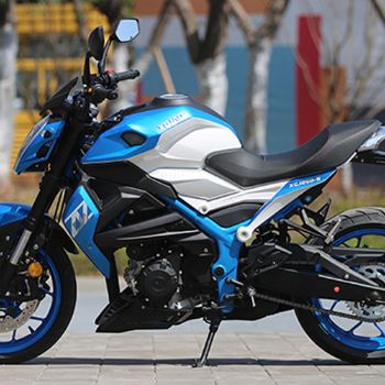 �¸о� ����ս�� XGJ250-3˫���ܳ�