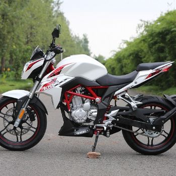  ¡��300