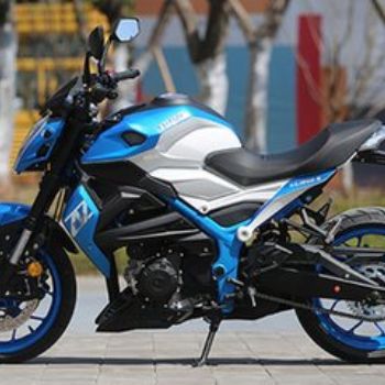  �¸о�.����ս��XGJ250-3