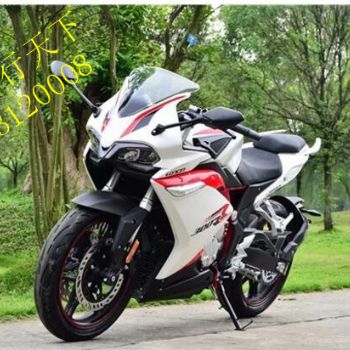 ¡��300RR��Ϊ���������������ܳ���������Ԥ���С�
