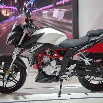 ¡���޼�300RR LX300GS-B �ֳ��ܳ���