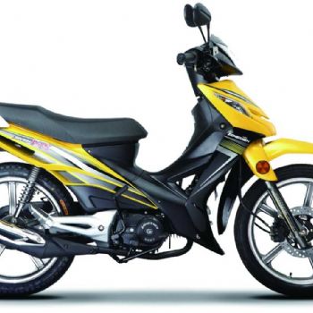 ZS110-61S