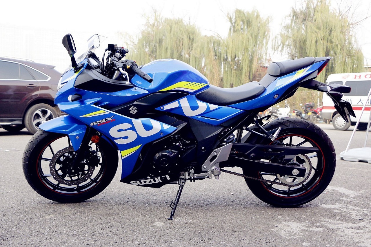  ������ľGSX250R