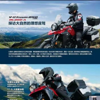  ����DL250    ABS
