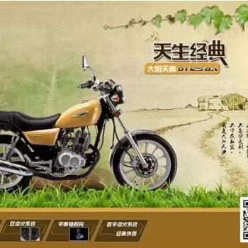  ����DY125-8A