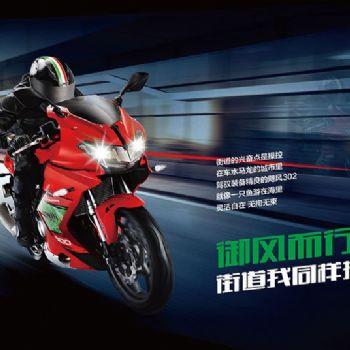 ������BJ300RGS��ŷ�棩