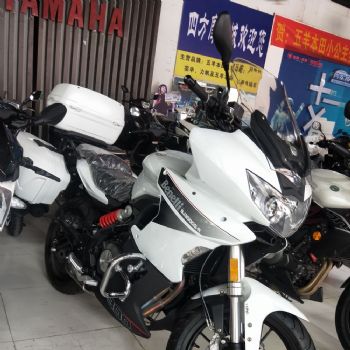 ������Ѳ��300-A