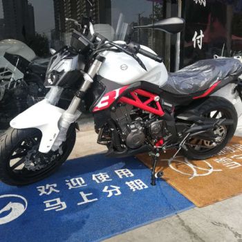  ������302S