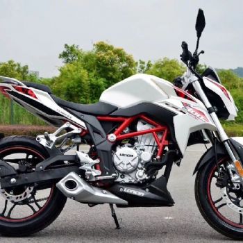  ¡���޼�300R