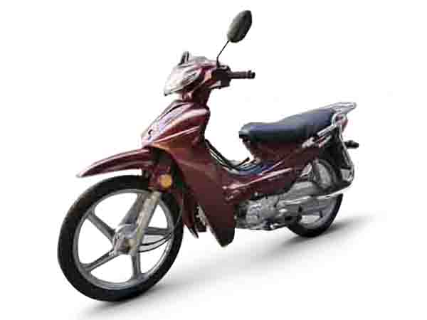���� WJ110-2