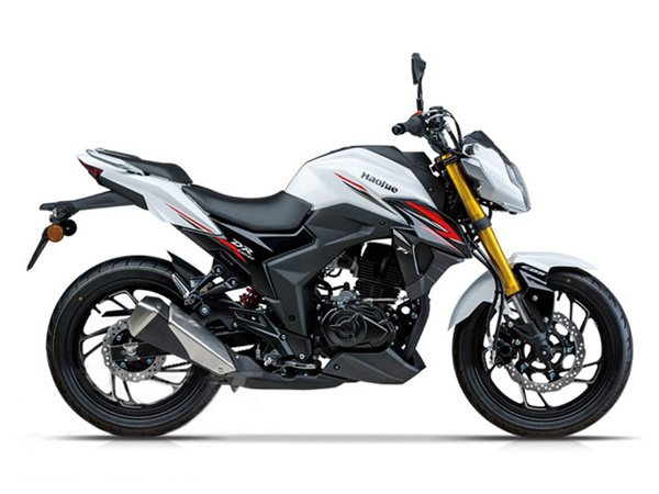 ���� DR160(2019)