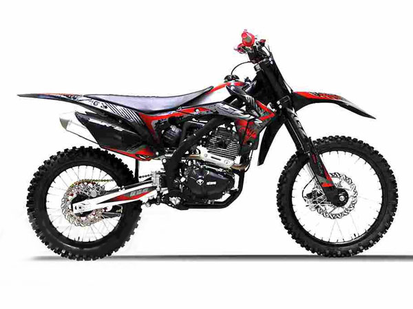 �¹��� ������(2021)