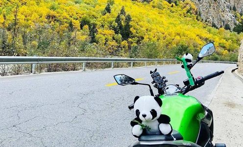 ��ʱ���⣬7��2400�����ﴨ��Z900����
