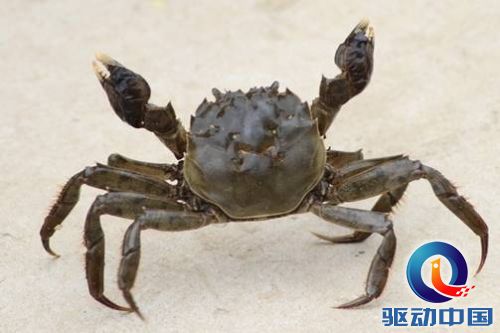 说明: 1.png